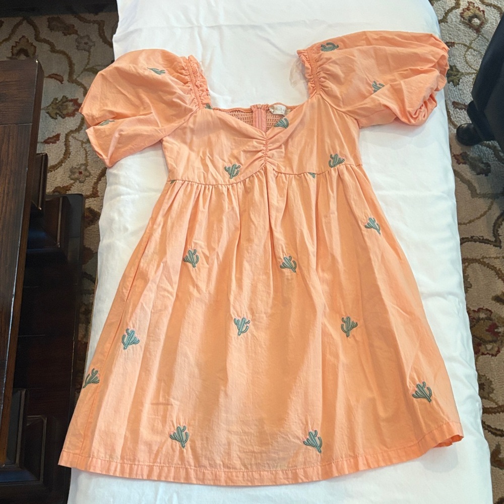 Altar'd State Orange Mini Dress with Cactus Embroidery